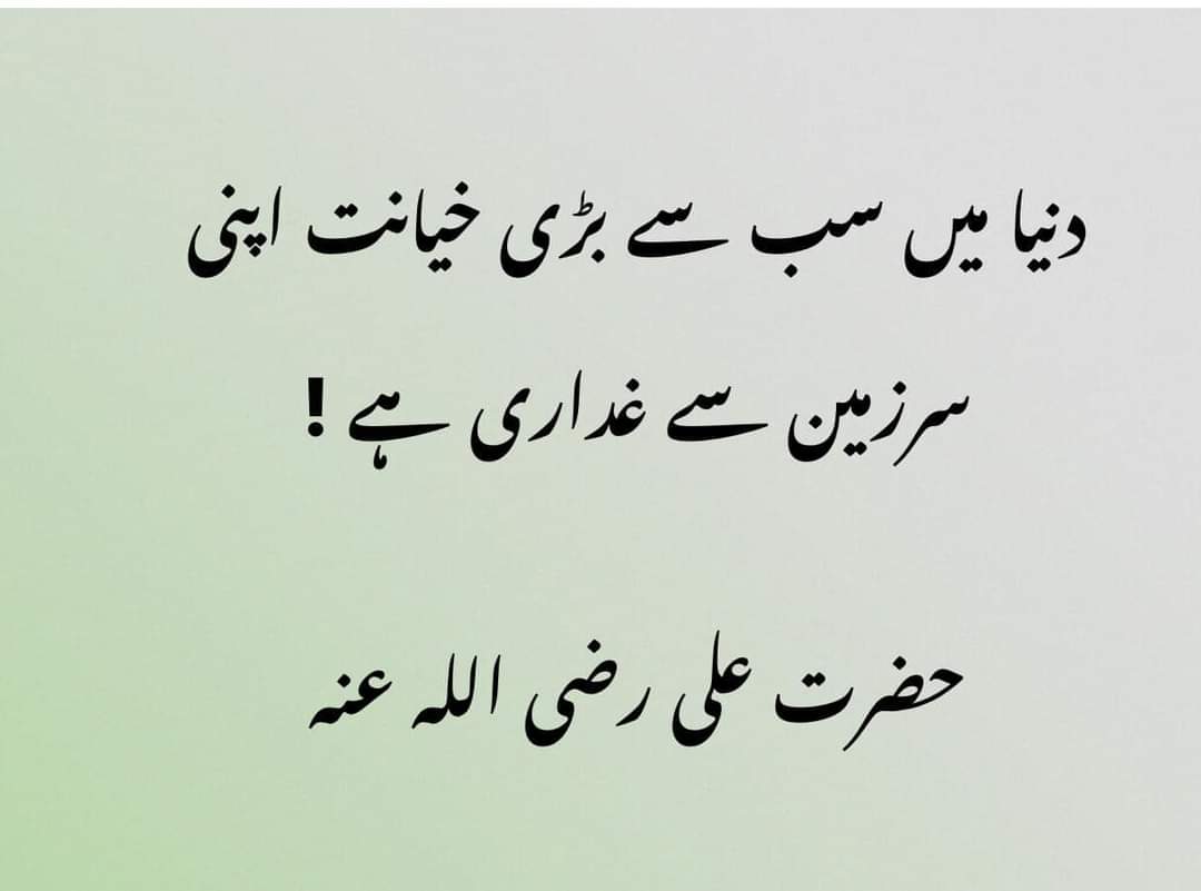 War_Analysts's tweet photo. Traitor to the own country is the biggest betrayal in the world 🇵🇰 https://t.co/MpjowtG73J