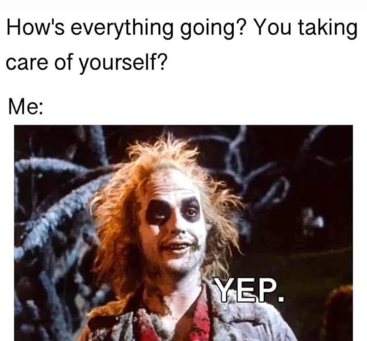 Weekly check-ins with my advisor