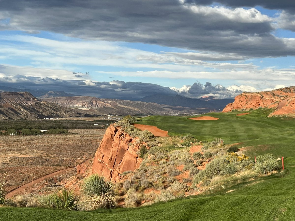 Shawn Tobin tweet media