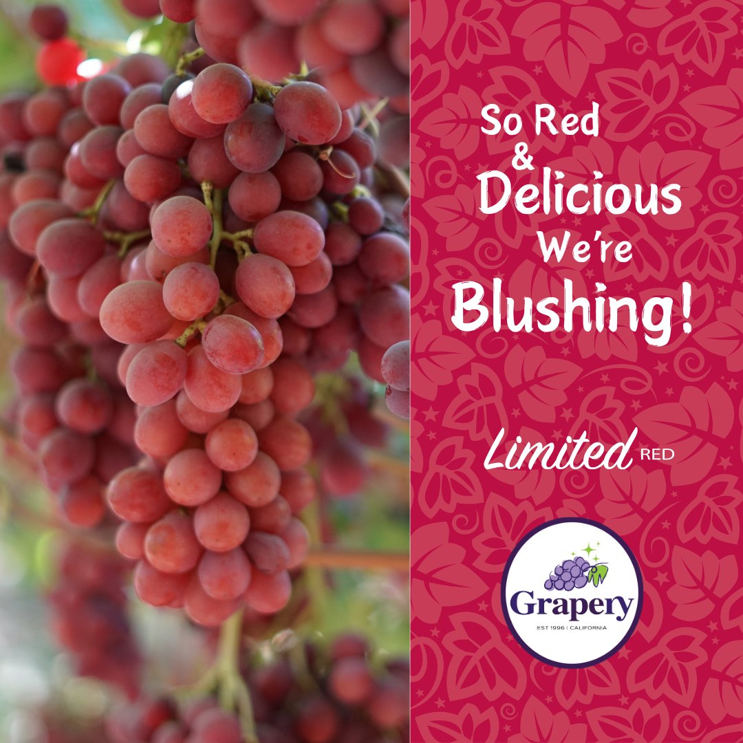 Limited Red grapes from Grapery.  Sweet, delicious, and as crisp as a fall day! 🍁 🍂