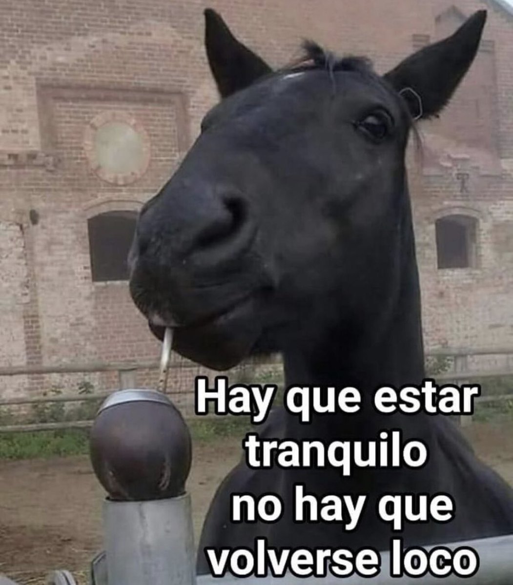 Yo luego de rendir fatal mi segundo parcial
