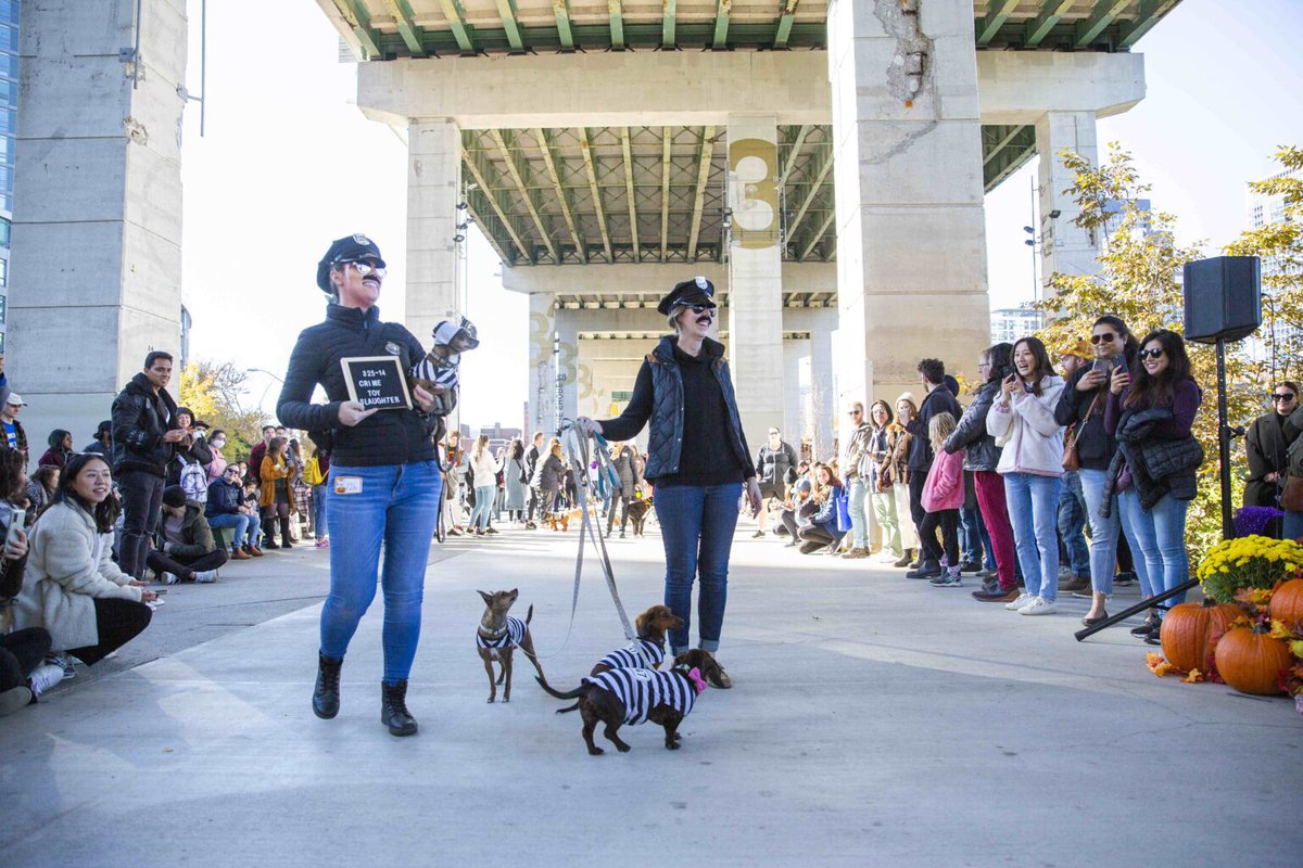 TOPortAuthority's tweet photo. Howl’oween est de retour dans @thebentway! 🎃👻 🐕
Rendez-vous le 26 octobre pour cette célébration qui a du chien!
Vous trouverez plus de précisions sur cet événement à l’adresse suivante : https://t.co/CdL8KzmAzD (site en anglais)
#Howloween #TheBentway #DivertissementCommunautaire #saisondufrisson
📸: @thebentway