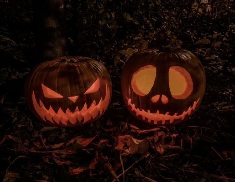 deathndhorror's tweet photo. The best time of the year 🎃 https://t.co/sl50iOoBWy