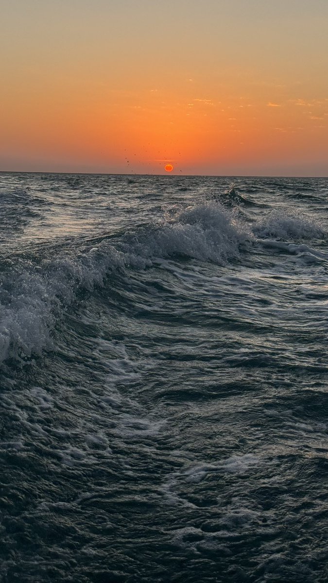 lsara_111's tweet photo. Sunset 🧡. https://t.co/WW5i6ERXZT