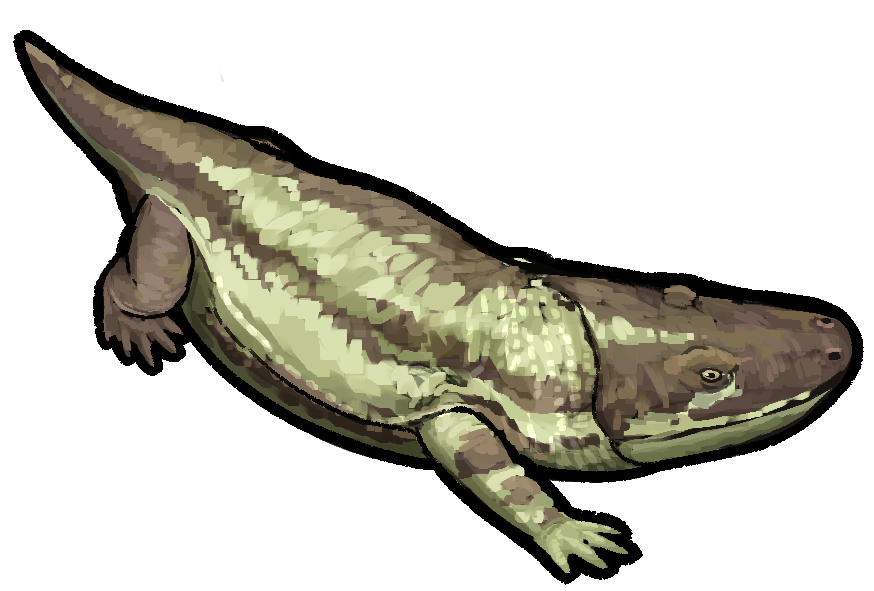 Working on microsaurs and temnos for wikipedia, these ones being: Bageherpeton, Microbrachis, Nannaroter, and Otacillus