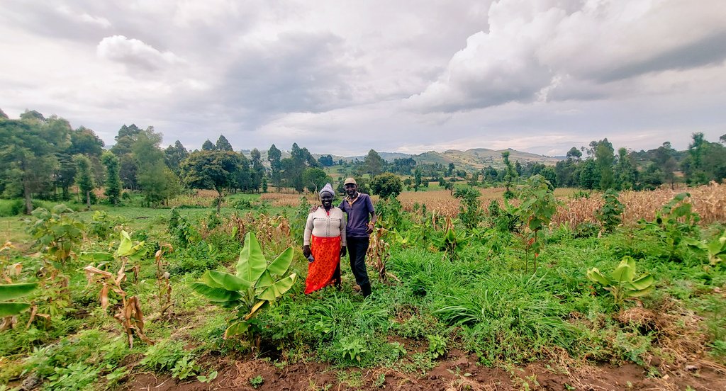 jazzkuria's tweet photo. #SyntropicAgroforestry
#BabystepslookingGood

To God be the glory https://t.co/CbdVBvEiIl