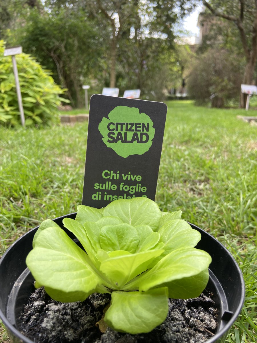 Matteo Chialva tweet media