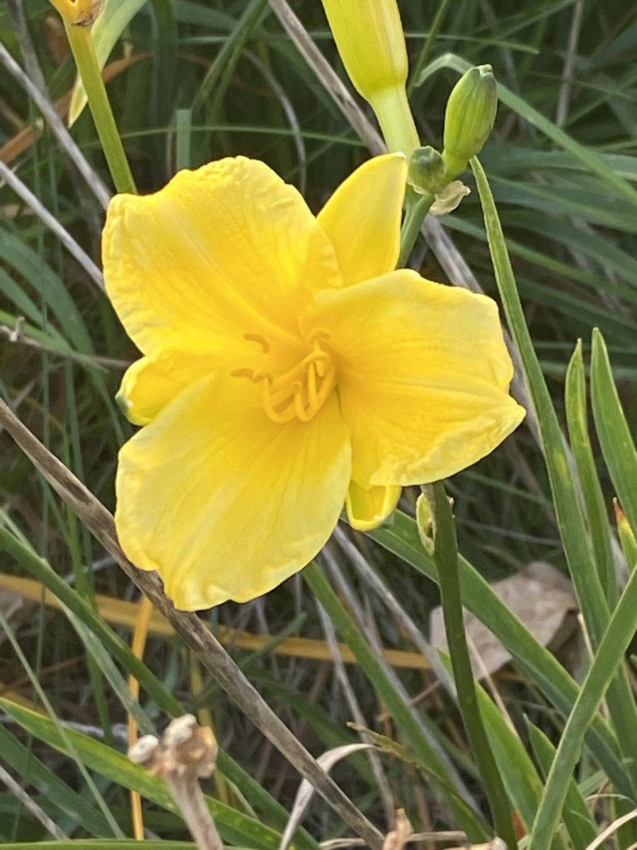 Justin87925317's tweet photo. Good afternoon world. What a blessing to have a Sunny +25 day even the flowers are out🙏. I was being stalked by Thomas The Tank engine today but I got away😂. I found a safe house boom boom 💥 the beer clock struck 🍺alleluia 😂. May you all have a great evening 🥰. #beerclock https://t.co/VSssi8em2o