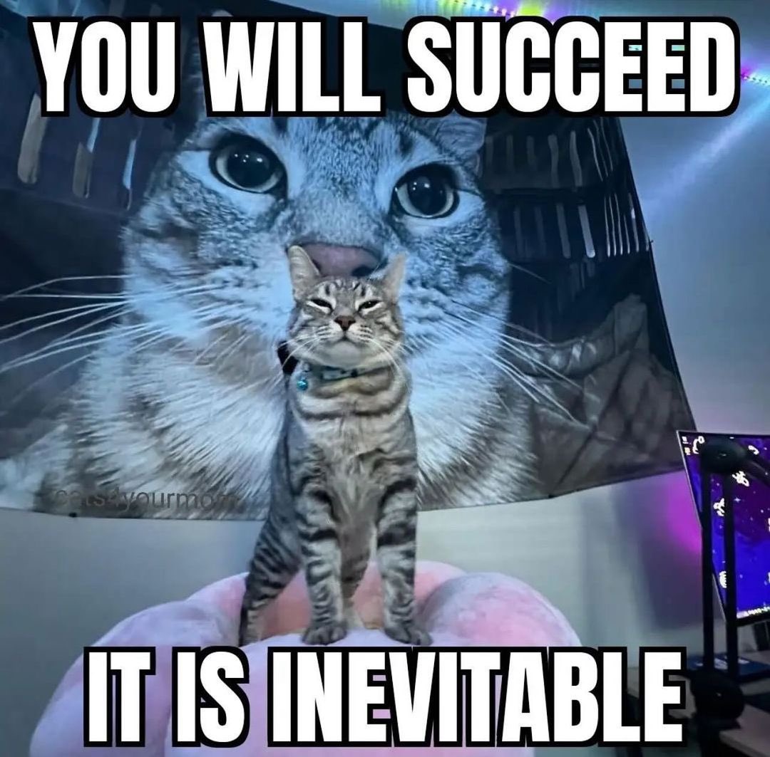 literallymecats's tweet image. 