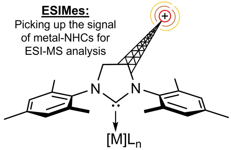 Charlie Killeen (@ckilleen_) on Twitter photo Interested in investigating metal-NHC reaction dynamics in real-time with mass spectrometry? Look no further than the <a href="/mcindoe/">Scott McIndoe</a> lab's newest charge-tagged ligand, ESIMes. Preprint available on ChemRxiv: doi.org/10.26434/chemr… #realtimechem Interested in investigating metal-NHC reaction dynamics in real-time with mass spectrometry? Look no further than the <a href="/mcindoe/">Scott McIndoe</a> lab's newest charge-tagged ligand, ESIMes. Preprint available on ChemRxiv: doi.org/10.26434/chemr… #realtimechem