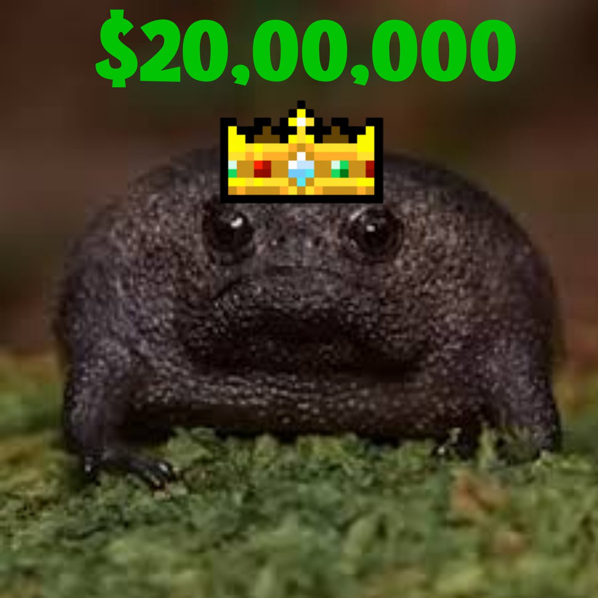UNIQxBEAST tweet media