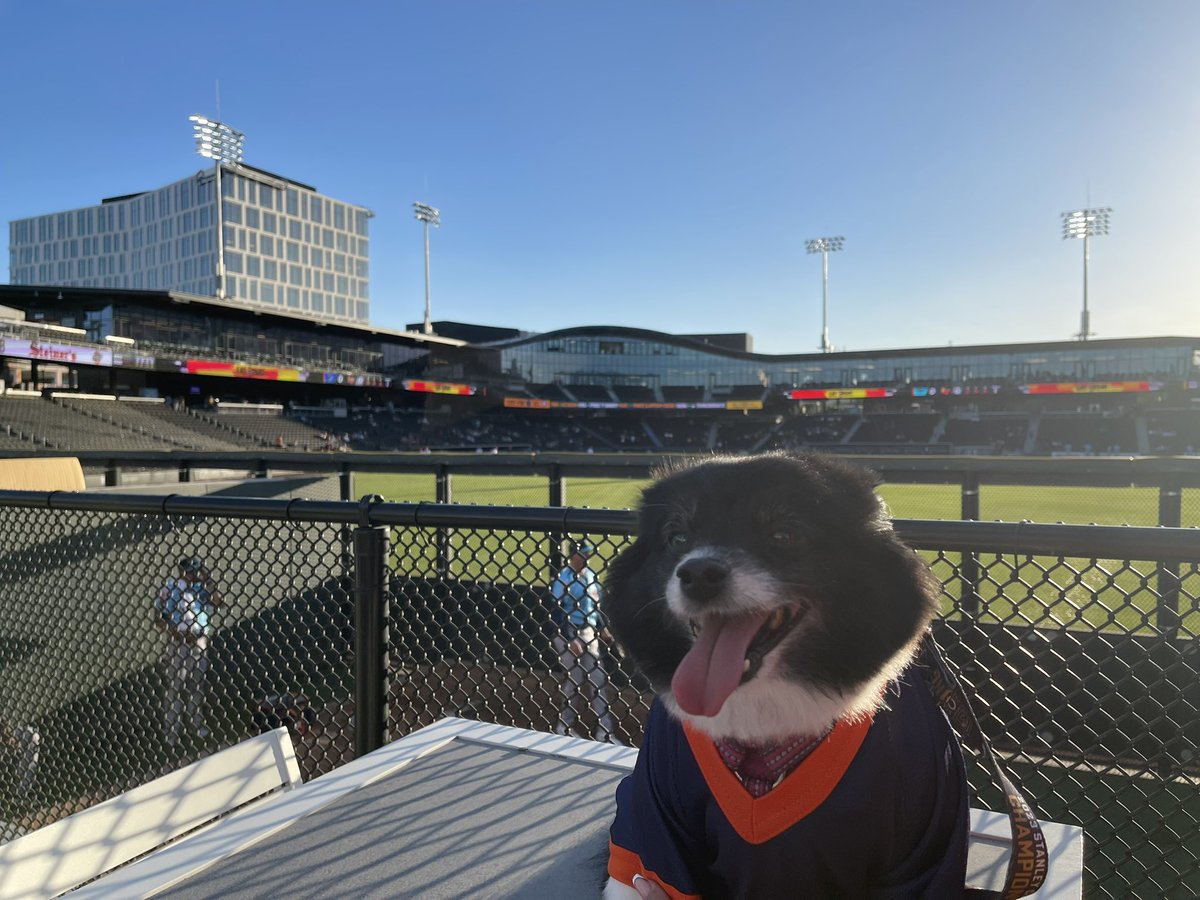 VGKPandaPup's tweet photo. @AviatorsLV @finnthebatdog So sad to hear of Finnโs crossing the ๐ bridge. Biped parents and I are saying prayers tonight for Finn and his K-9 and biped family.
#RIPFinn
โค๏ธ๐ผ๐ถ & Bipeds https://t.co/0C3xVZyhUa