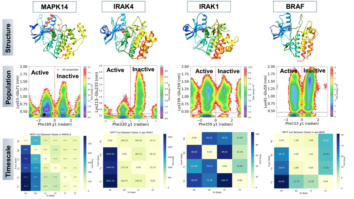 We're building the first-of-a-kind Dynamic PDB to capture generalized protein motions (GPCRs, kinases, proteases, TNF, etc.) at scale  for targets involved in immuno-oncology, and neuro-degeneration. Key highlights:

1. Predict functionally relevant conformational states for