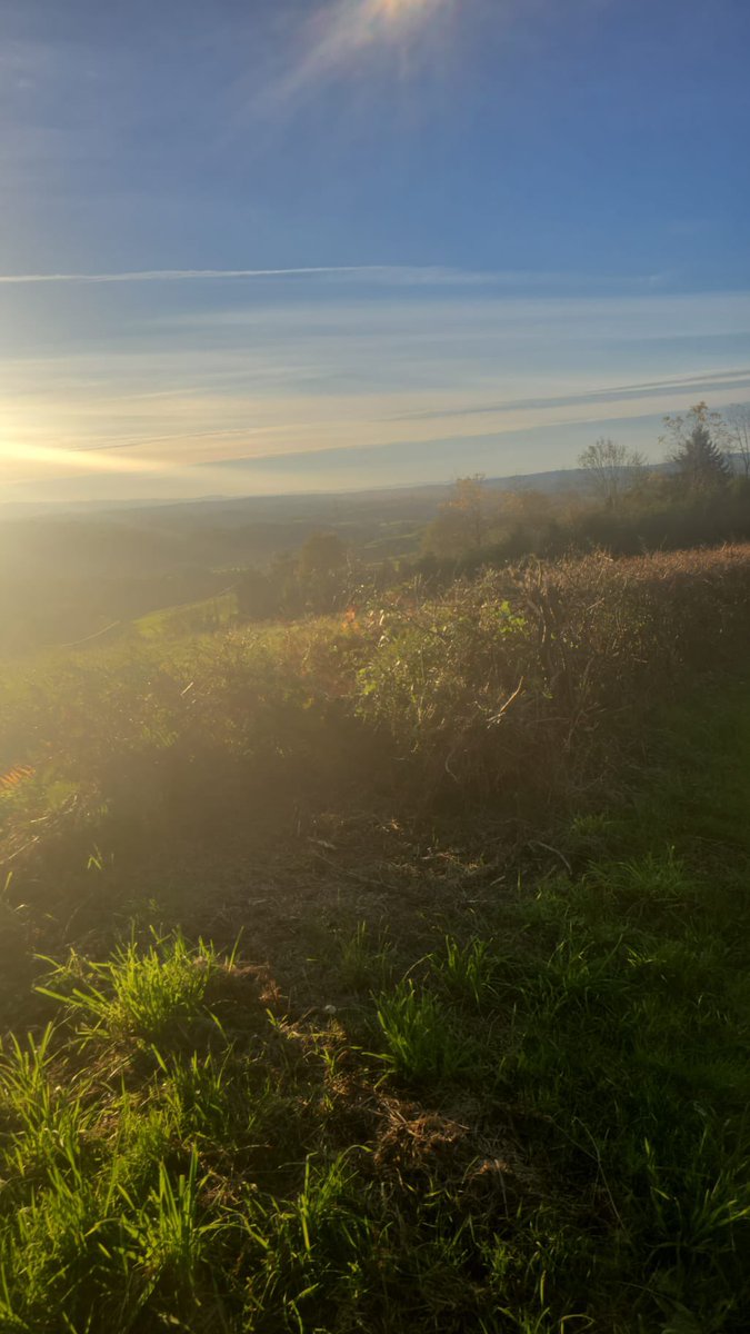 Laurent fontaine (@laurentfon73991) on Twitter photo 