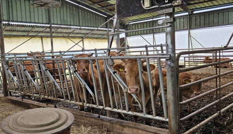 남원시, ‘축산악취개선사업’공모 선정 | 다음카페 cafe.daum.net/dhtnch40ghl/NI…