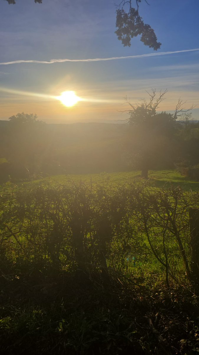 Laurent fontaine (@laurentfon73991) on Twitter photo 