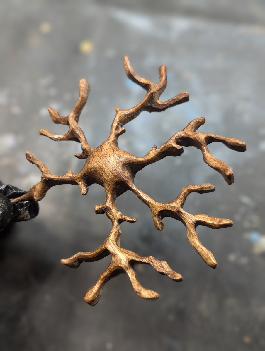 NeuroWoodworks tweet media