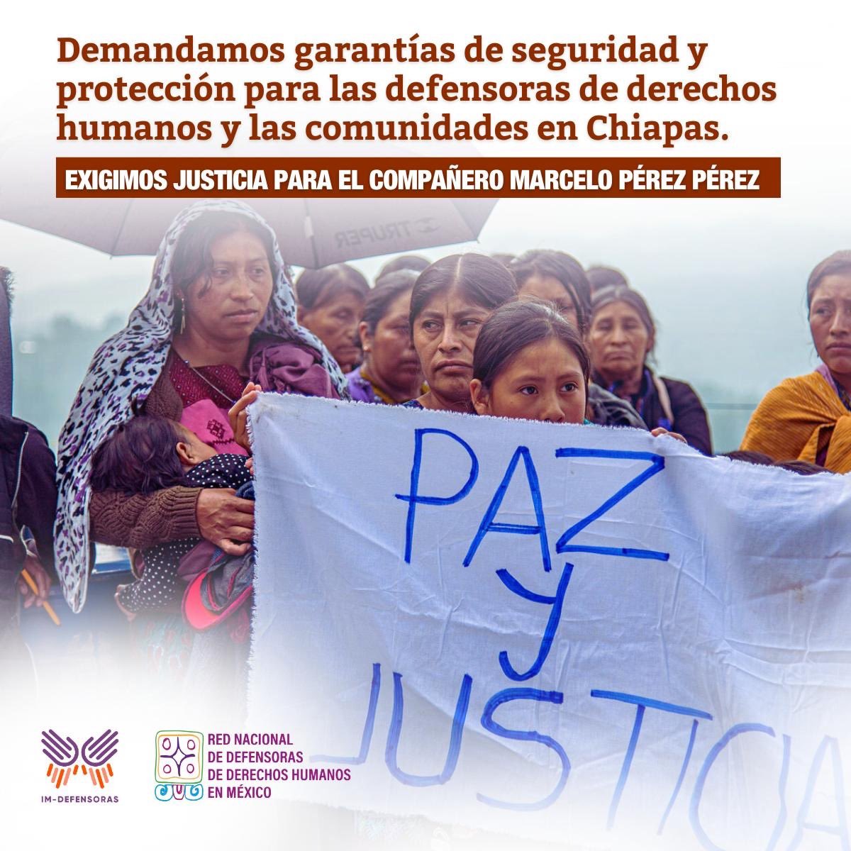 IM-Defensoras tweet media