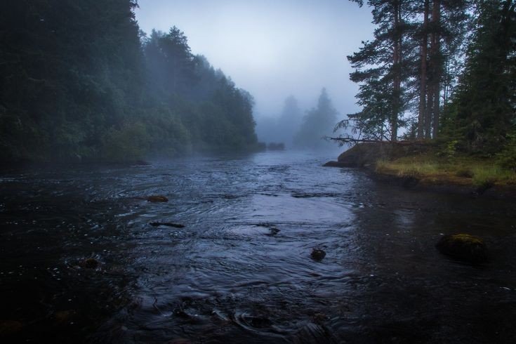 𝕰𝖑𝖊𝖒𝖒𝖎𝖗𝖊 tweet media