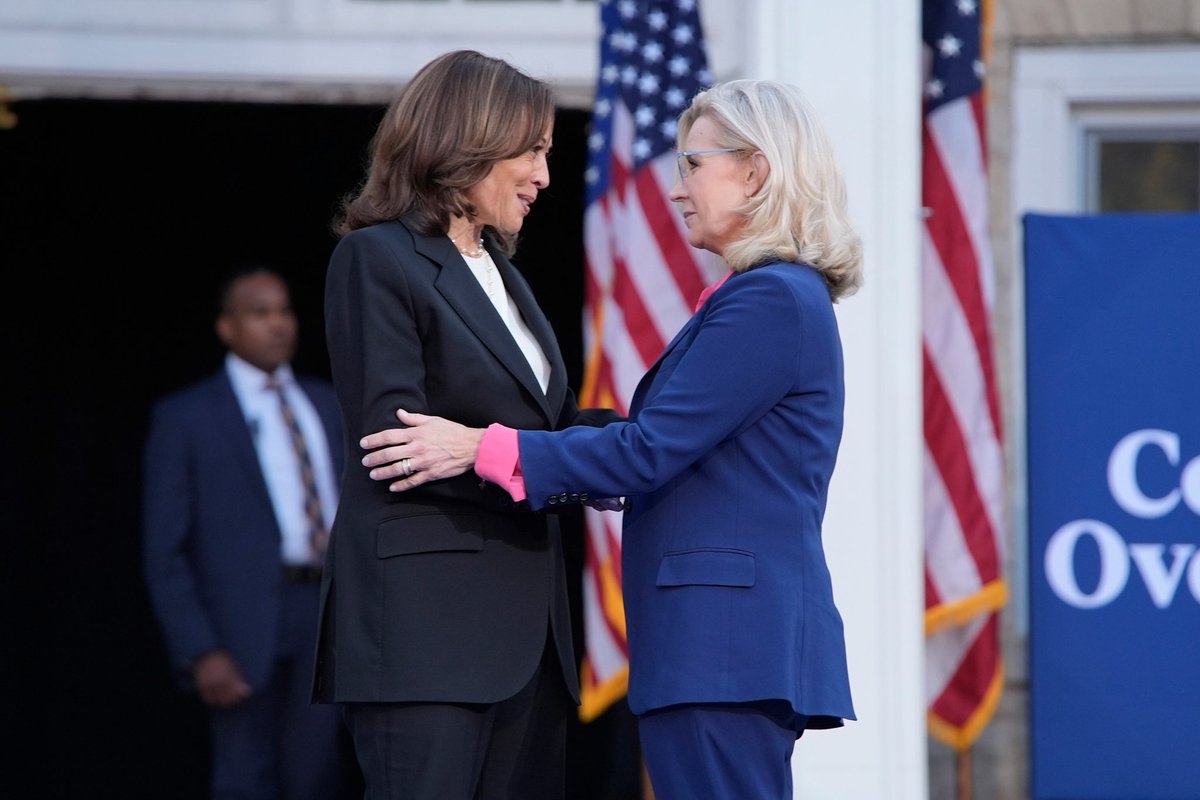 DisavowTrump20's tweet photo. Drop a 💙 if you are thankful for Liz Cheney. https://t.co/4bGeTuSX0Q