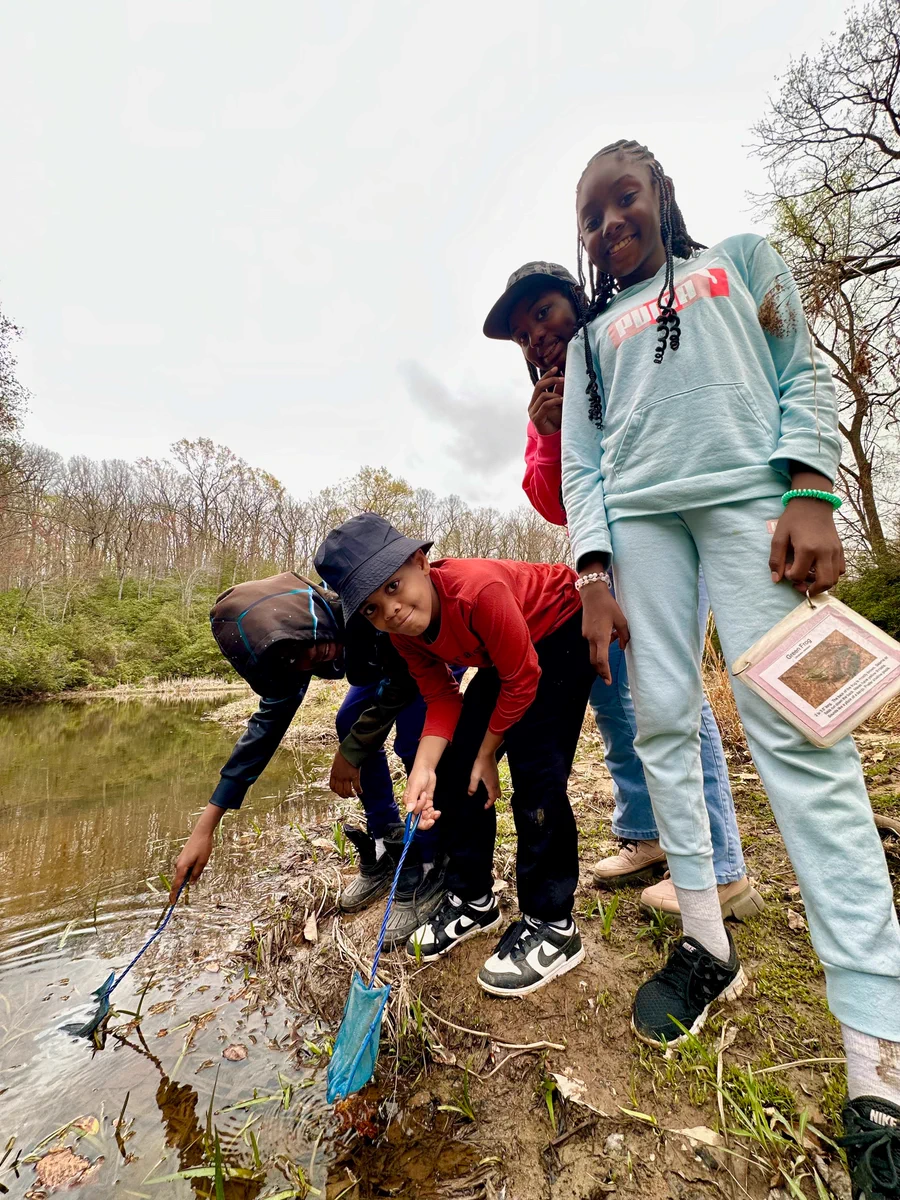 Students collecting macroinvertabrate samples at the edge of a stream in Prince William Forest Park