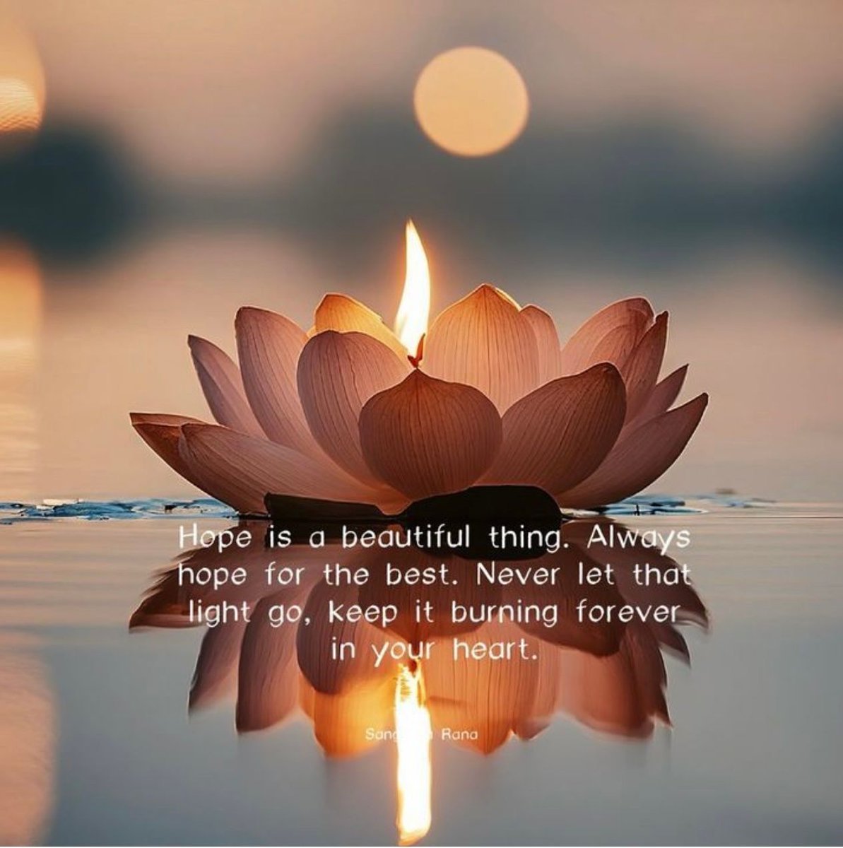 Hope is a bedutiful thing Always hope for the best Never let that light go  Keep it burning forever in your heart. S Rana, image size:1193x1200