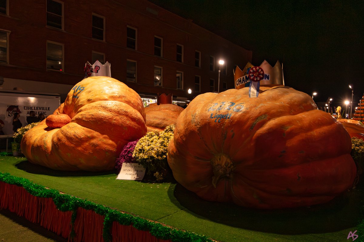 AndySpessard's tweet photo. Not too many cities shut down for pumpkins but this is one of them - Circleville 2024. 🎃❤🎃 #circleville #pumpkinshow #autumnvibes https://t.co/Hc4esBsN35