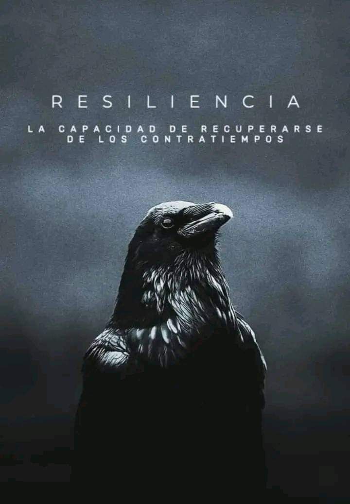 Les deseo mucha resiliencia soldados.