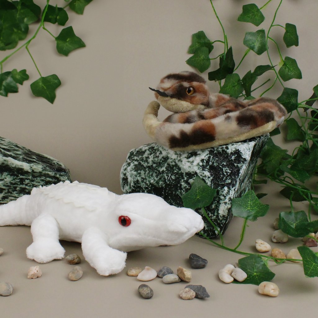 AuroraWorld's tweet photo. 🐊🤍 It’s not every day you meet an albino alligator! Celebrate #ReptileAwarenessDay with our striking Albino Alligator and sly Ruse Rattlesnake from Mini Flopsie collection! 🐍 Perfect for snuggles, education, and fun! 🌿

#aurora #auroraworld #flopsie #miniflopsie #plushies https://t.co/8csZHuauZW