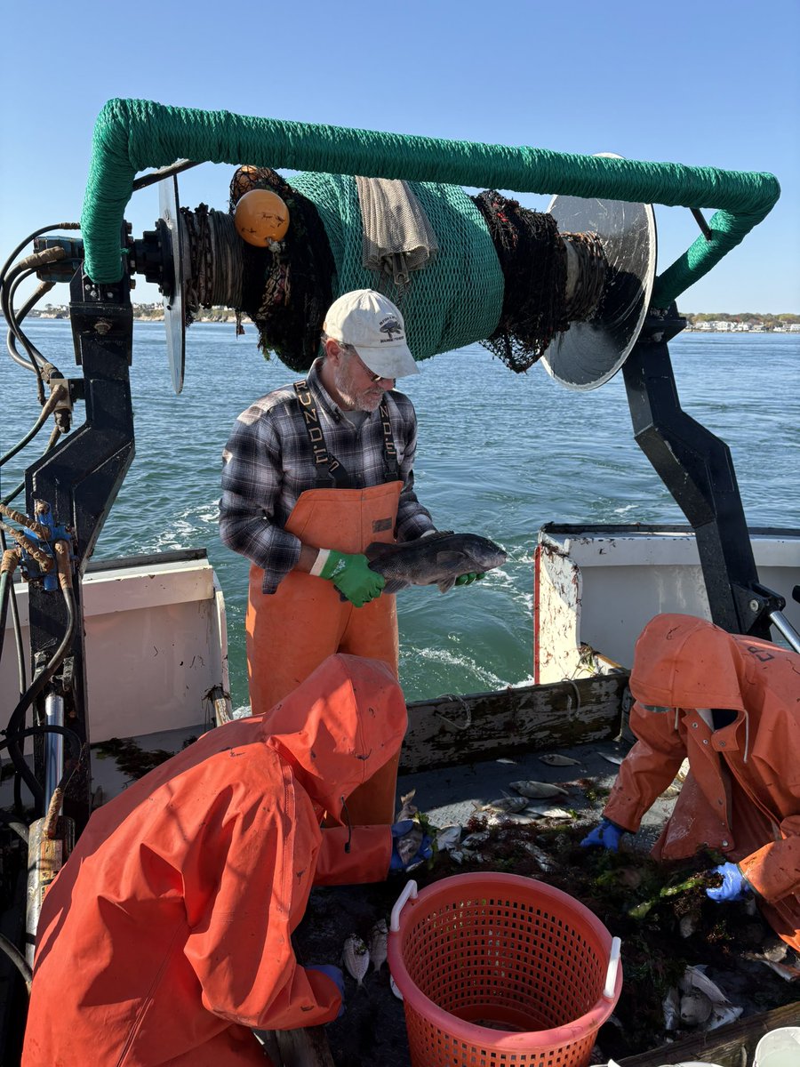 Terry Gray tweet media