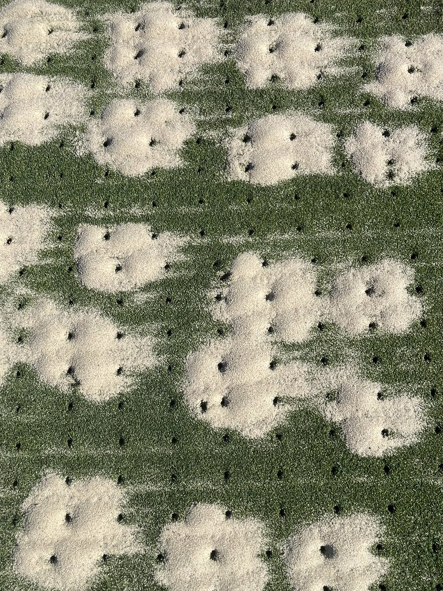 cschellerturf's tweet image. Drill and fill followed by .5” solid tine on 2” spacing…brush blow roll repeat