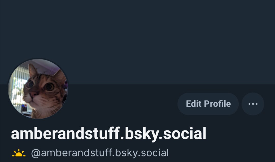 Amber 🐀 tweet media