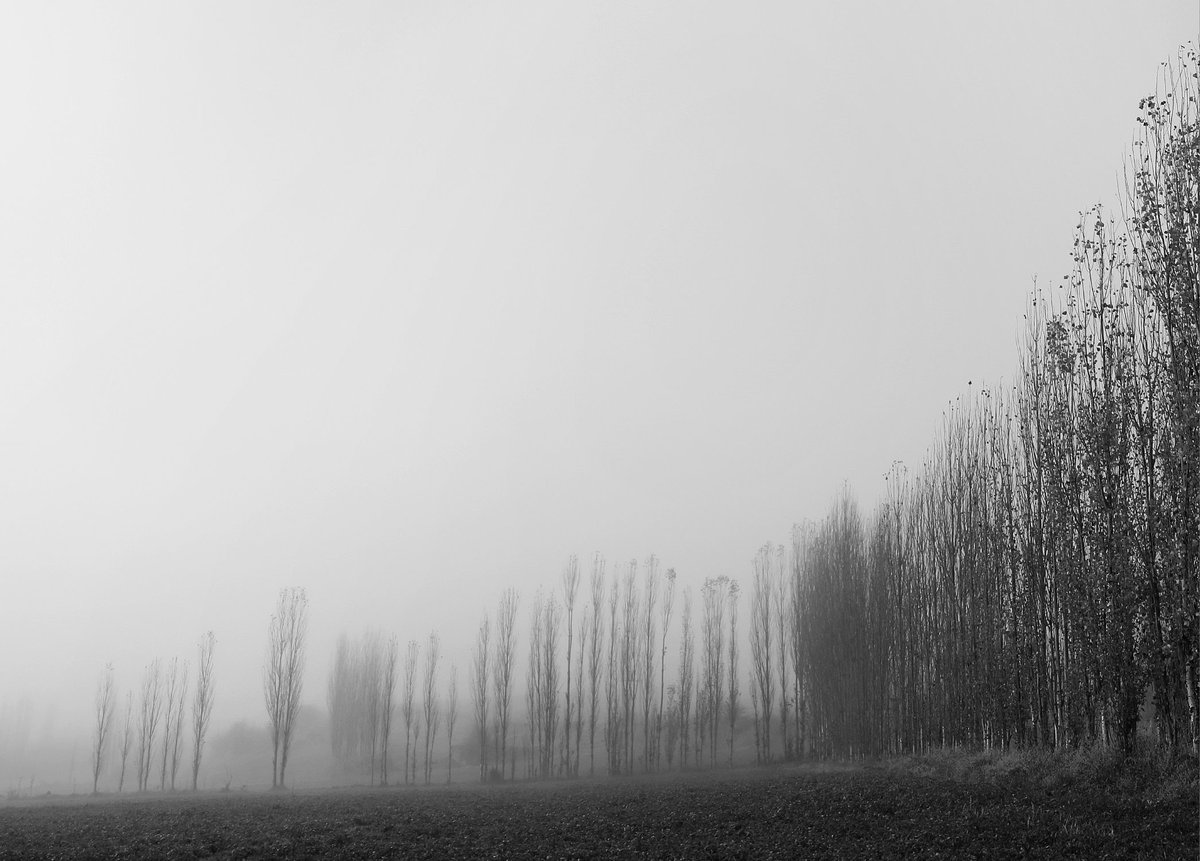 Gm!

"Crossing the Fog"
7/11 Edition    7 #tezos

#tezostuesday
Link:
objkt.com/tokens/hicetnu…