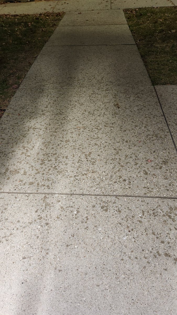 We have what appears to be spots on our sidewalk. What possibly could be the cause of this?