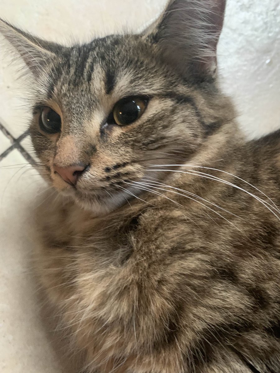 i didnt become active on here but its been almost 6 months since i got her