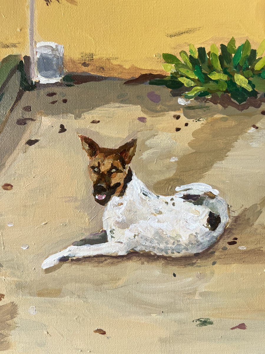 cacimba__'s tweet photo. ”o cão que não ladra”
acrílica sobre tela , 2024
70X50 https://t.co/FW2LTY9Kcw