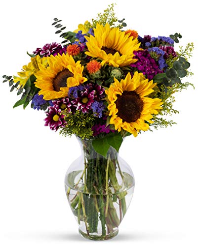 poolsideconvo_'s tweet photo. An item on my Throne wishlist just got fully funded: Benchmark Bouquets, Flowering Fields, Glass Vase Included, Gift Fresh Flowers for Birthday, Anniversary, Get Well, Sympathy, Congratulations, Thank You, Just B. Thank you! https://t.co/pfc3NiopBv #Wishlist #Throne https://t.co/rJa08Ist8O