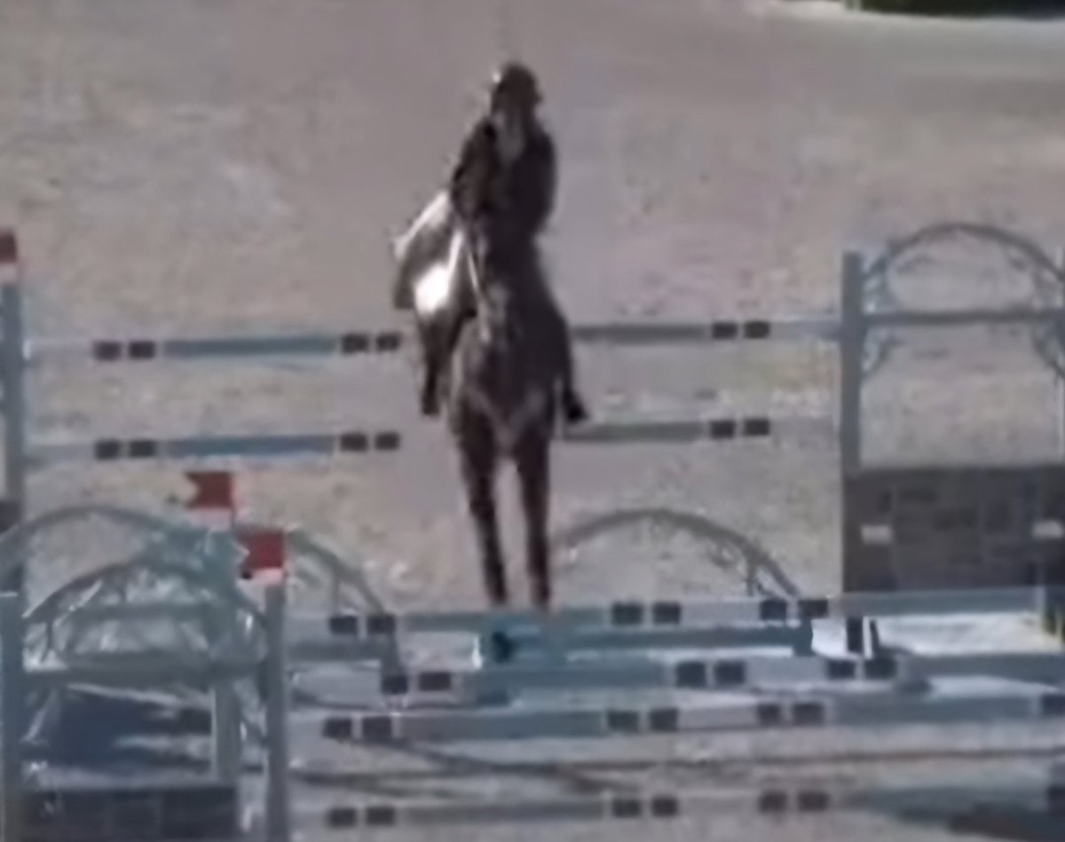 🇮🇱🏇🏼Ashlee Bond and Donatello 141 in action at the event in North Carolina. They finished 🥈2nd in qualifying! So proud of both of them! 💙🤍💙🤍💙🤍