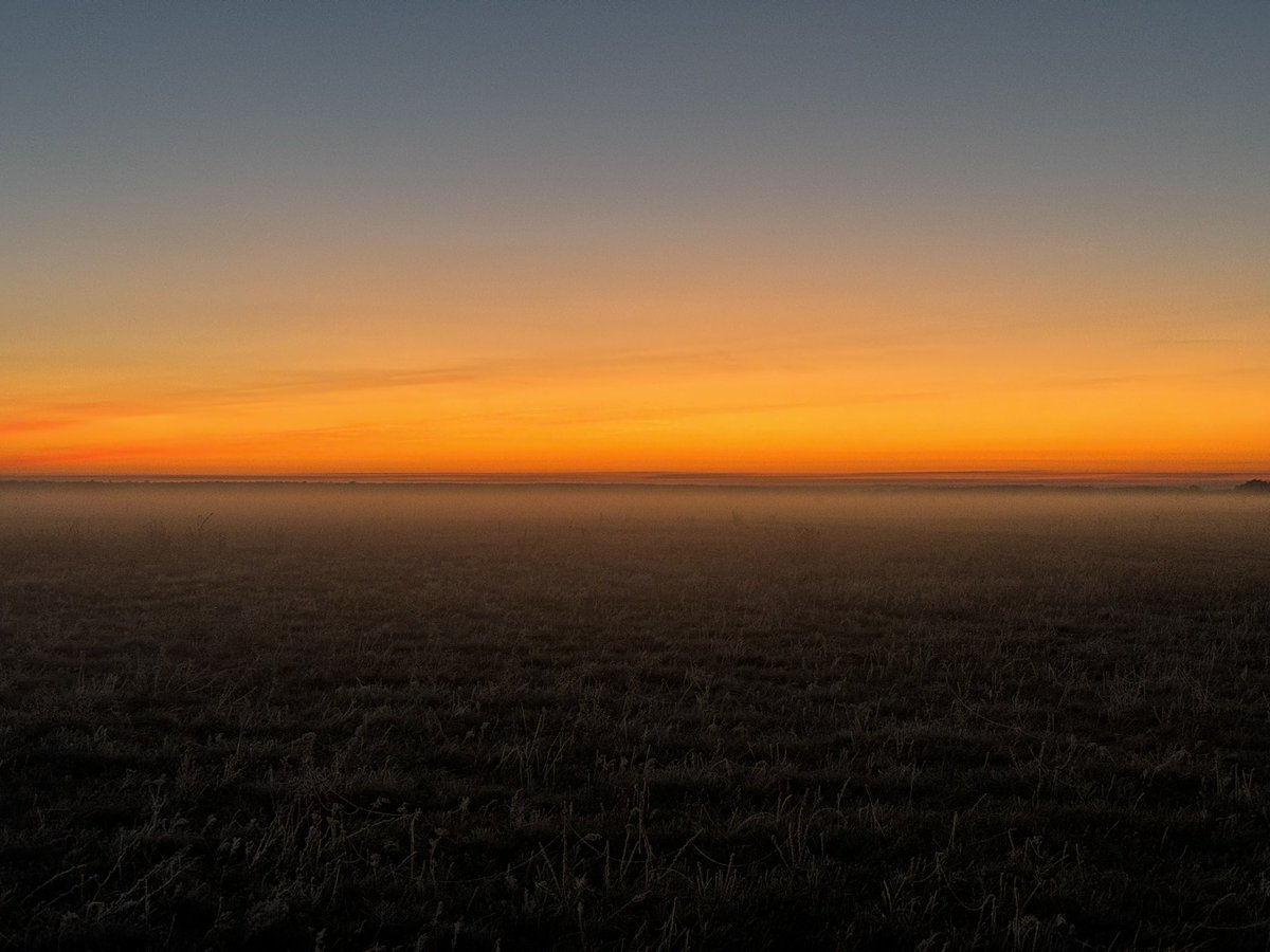 Майор tweet media