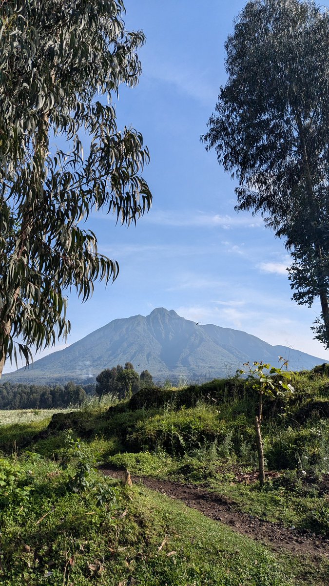 Take a two-hour walk around Volcanoes National Park, where the stunning beauty of the area is sure to captivate you. Come and enjoy a scenic walk and a delightful gastronomic experience at Volcano View Campsite.

#VisitRwanda #ScenicWalk