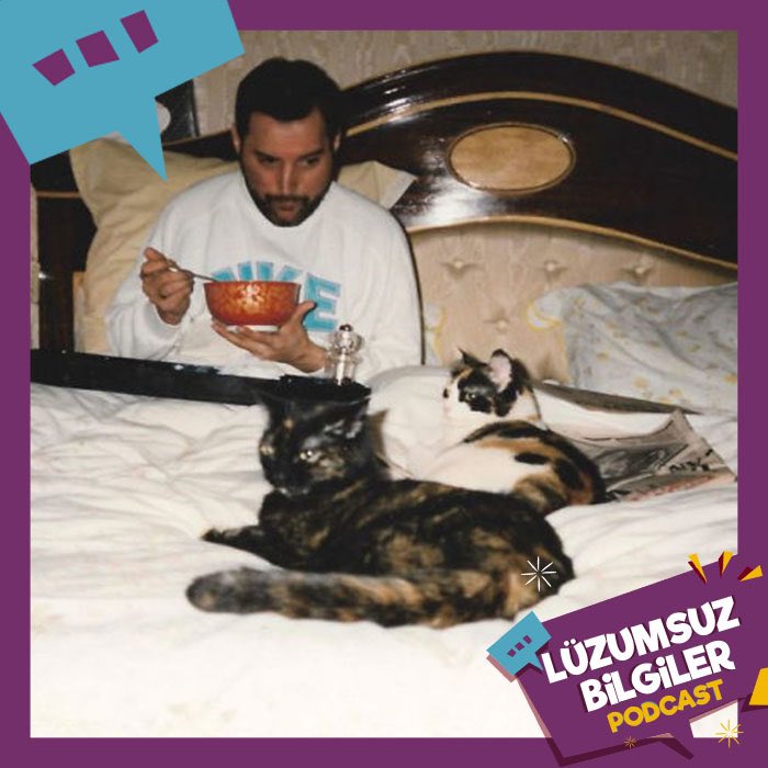 #LüzumsuzBilgiler 55 yayında!

Bu bölümde, Freddie Mercury’nin “sanat eseri üreten” kedisi Delilah’nın hikayesi ve daha fazlası var.

Dinlemek için:
Spotify 👇
open.spotify.com/show/77u5B1Tq3…

Apple 👇
podcasts.apple.com/tr/podcast/l%C…

#türkçepodcast