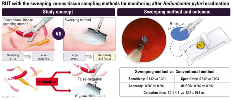 GIE (@gie_journal) on Twitter photo Noh et al compare "Comparative diagnostic performance of rapid urease test with the sweeping method versus tissue sampling method after Helicobacter pylori eradication (with video)." giejournal.org/article/S0016-…
#GITwitter #GIEJournal
<a href="/drmohdzein/">Mohamad El Zein MD, MPH </a> Noh et al compare "Comparative diagnostic performance of rapid urease test with the sweeping method versus tissue sampling method after Helicobacter pylori eradication (with video)." giejournal.org/article/S0016-…
#GITwitter #GIEJournal
<a href="/drmohdzein/">Mohamad El Zein MD, MPH </a>