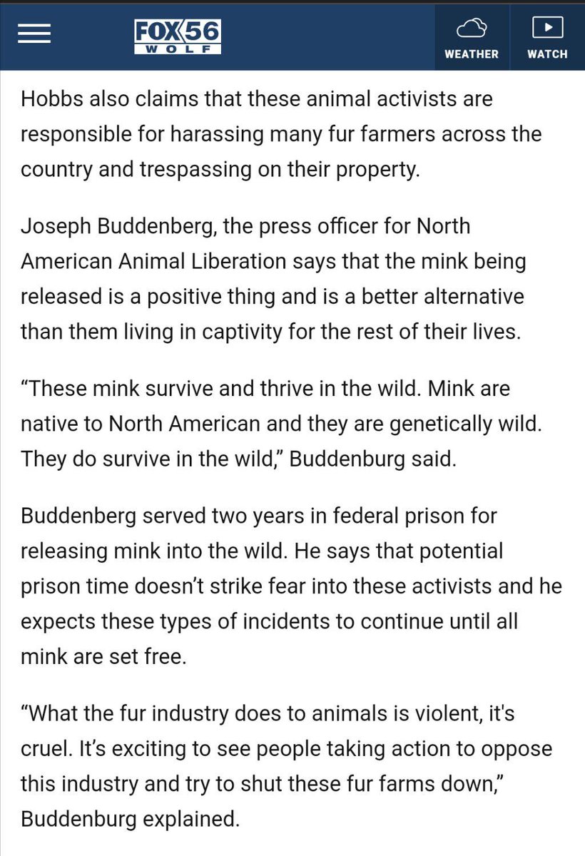 Media on the release of hundreds of mink from the Stahl Fur Farm in Sunbury, Pennsylvania.