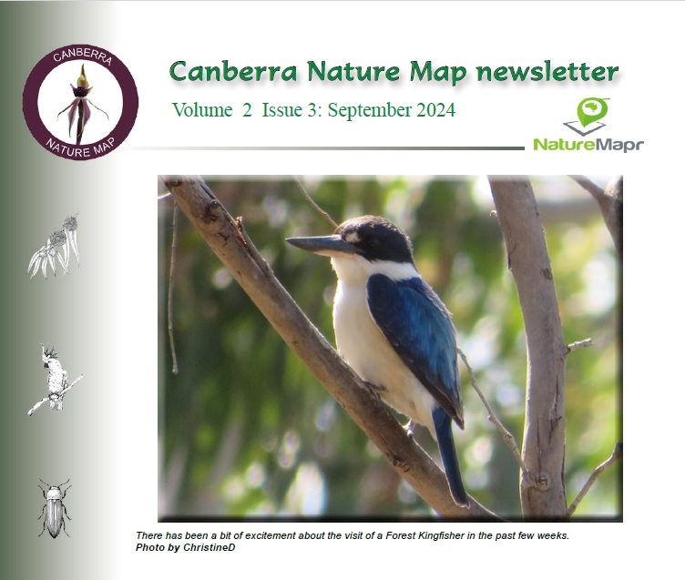 NatureMapr (@naturemapr) on Twitter photo The September 2024 edition of the Canberra Nature Map newsletter is out now: canberra.naturemapr.org/content/cnmnewโฆ The September 2024 edition of the Canberra Nature Map newsletter is out now: canberra.naturemapr.org/content/cnmnewโฆ