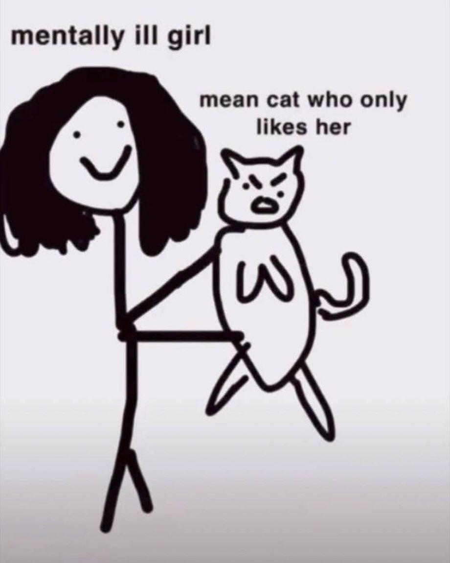 PunchingCat's tweet image. 