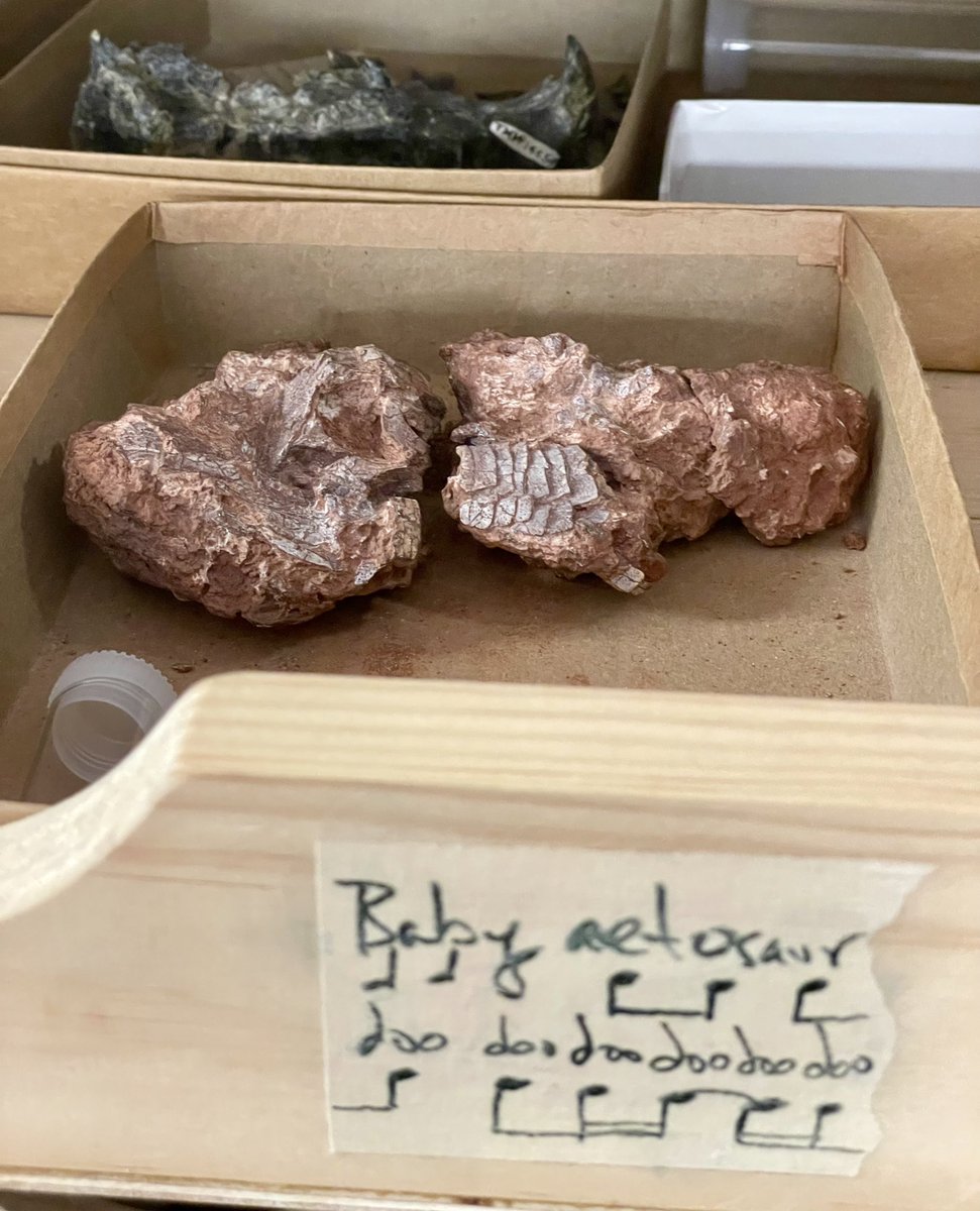 Matthew Aaron Brown tweet media