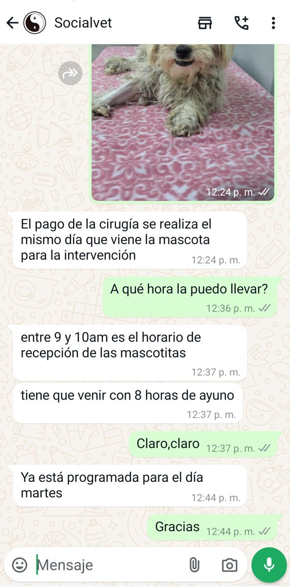 PATAS REFUGIO tweet media