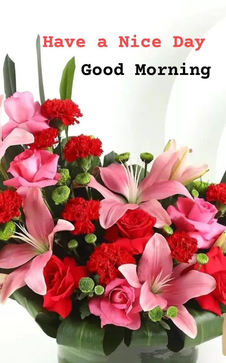 radhakrishnan (@radhakr24962665) on Twitter photo <a href="/VeerannaSAthan1/">Veeranna S Athani</a> <a href="/SoniaGurnani19/">Sonia.Gurnani</a> <a href="/Jungle_View/">JungleView</a> <a href="/Billion478/">poonam verma</a> <a href="/MadhuKheriya/">madhu</a> <a href="/save_bits/">Nation Always First Neeraj Gupta(Modi Ka Parivaar)</a> <a href="/Leela309/">L.krishna chowdary 🇮🇳</a> <a href="/_Rani_Dixit/">Rani</a> <a href="/AngelaBawa/">Angela Bawa🇮🇳</a> <a href="/sureshpatelsk/">🏹सुरेश पटेल एसके (मोदी का परिवार)🕉️#३_भ🚩📿</a> <a href="/pancham2203/">Pancham</a> <a href="/s_mamta99/">˜”*°• Mamta •°*”(PM Modiji Ka Parivar)</a> <a href="/ShilpiJohri1/">Shilpi Johri✨</a> <a href="/pronami007/">Pronami</a> <a href="/ShilpaBJP/">Shilpa Narang - शिल्पा नांरग</a> <a href="/bakshi_pratap/">Pratap Bakshi( RSS Member).KAFIR</a> <a href="/arungupta5253/">Arun Gupta</a> <a href="/DrAlkaRay2/">Dr Alka Ray</a> <a href="/scorpiosantosh/">संतोष गोयनका 𝕏( मोदी का परिवार)</a> <a href="/KiritdanGadhav9/">Kiritdan Gadhavi</a> <a href="/kiranku48748489/">ಕಿರಣ್ ಕುಮಾರ್ 🇮🇳(ಮೋದಿಯ ಪರಿವಾರ)</a> <a href="/DDevikam/">AKHAND BHARAT 🚩🕉️🔥</a> <a href="/den10963991/">𝕾𝖆𝖙𝖞𝖆 D𝖆𝖗𝖘𝖍𝖎 = सनातनी</a> <a href="/GOHILRA72551842/">GOHIL RAJ 🇮🇳MahendraSinh Gohil🇮🇳Gujarat 🌹🚩🙏</a> <a href="/Niharik43914213/">Niharika Singh हिंदू 🚩मेरी पोस्ट प्यार से पढ़ो❤️</a> <a href="/ShailShekhawat/">Shailesh Shekhawat</a> <a href="/kuldip09kuldip/">Kuldip Kaur (मोदी का परिवार)</a> <a href="/thedevinx/">devin</a> Namaskara <a href="/VeerannaSAthan1/">Veeranna S Athani</a> <a href="/SoniaGurnani19/">Sonia.Gurnani</a> <a href="/Jungle_View/">JungleView</a> <a href="/Billion478/">poonam verma</a> <a href="/MadhuKheriya/">madhu</a> <a href="/save_bits/">Nation Always First Neeraj Gupta(Modi Ka Parivaar)</a> <a href="/Leela309/">L.krishna chowdary 🇮🇳</a> <a href="/_Rani_Dixit/">Rani</a> <a href="/AngelaBawa/">Angela Bawa🇮🇳</a> <a href="/sureshpatelsk/">🏹सुरेश पटेल एसके (मोदी का परिवार)🕉️#३_भ🚩📿</a> <a href="/pancham2203/">Pancham</a> <a href="/s_mamta99/">˜”*°• Mamta •°*”(PM Modiji Ka Parivar)</a> <a href="/ShilpiJohri1/">Shilpi Johri✨</a> <a href="/pronami007/">Pronami</a> <a href="/ShilpaBJP/">Shilpa Narang - शिल्पा नांरग</a> <a href="/bakshi_pratap/">Pratap Bakshi( RSS Member).KAFIR</a> <a href="/arungupta5253/">Arun Gupta</a> <a href="/DrAlkaRay2/">Dr Alka Ray</a> <a href="/scorpiosantosh/">संतोष गोयनका 𝕏( मोदी का परिवार)</a> <a href="/KiritdanGadhav9/">Kiritdan Gadhavi</a> <a href="/kiranku48748489/">ಕಿರಣ್ ಕುಮಾರ್ 🇮🇳(ಮೋದಿಯ ಪರಿವಾರ)</a> <a href="/DDevikam/">AKHAND BHARAT 🚩🕉️🔥</a> <a href="/den10963991/">𝕾𝖆𝖙𝖞𝖆 D𝖆𝖗𝖘𝖍𝖎 = सनातनी</a> <a href="/GOHILRA72551842/">GOHIL RAJ 🇮🇳MahendraSinh Gohil🇮🇳Gujarat 🌹🚩🙏</a> <a href="/Niharik43914213/">Niharika Singh हिंदू 🚩मेरी पोस्ट प्यार से पढ़ो❤️</a> <a href="/ShailShekhawat/">Shailesh Shekhawat</a> <a href="/kuldip09kuldip/">Kuldip Kaur (मोदी का परिवार)</a> <a href="/thedevinx/">devin</a> Namaskara