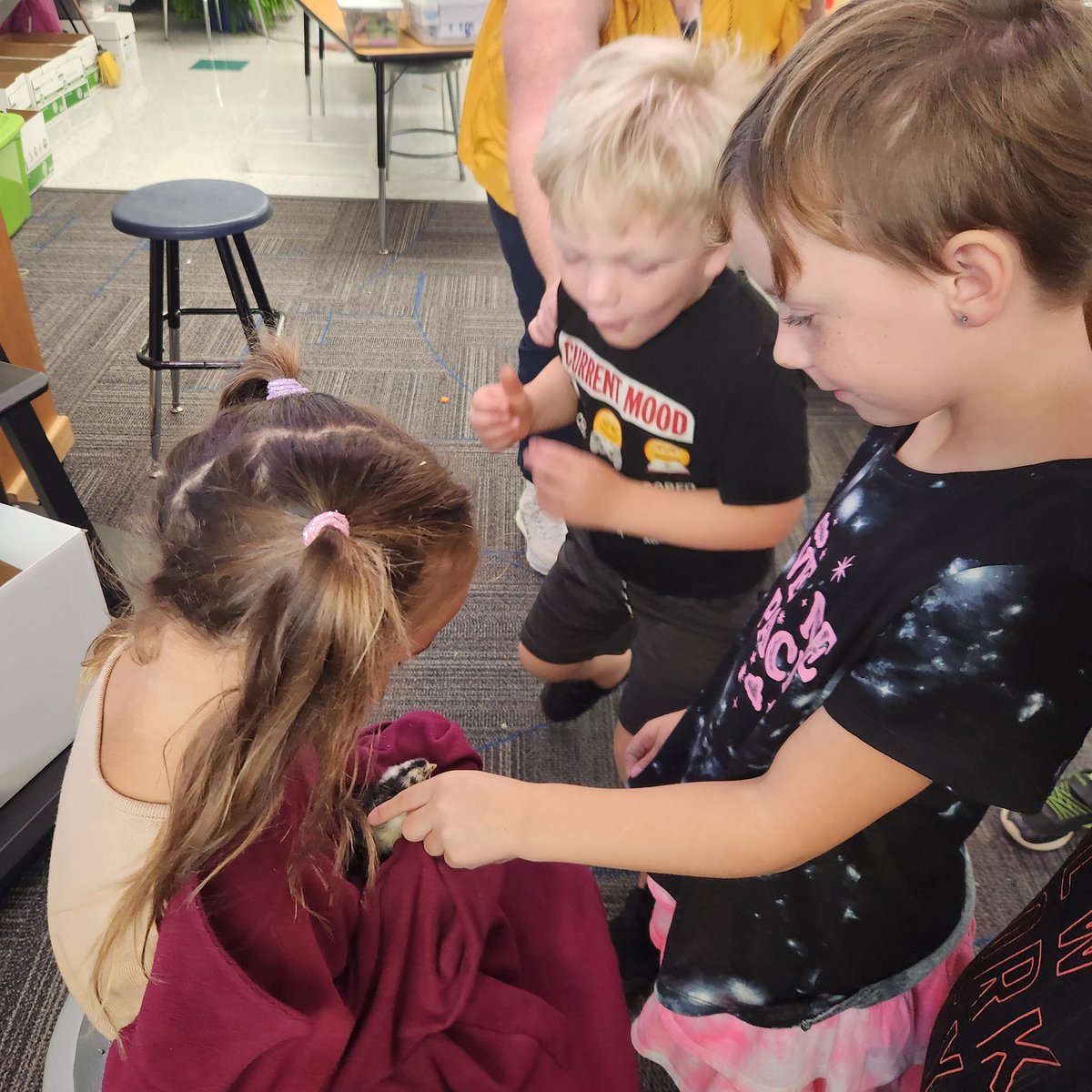 We were invited to our 2nd-4th grade PLTW classroom (which is also Hunter's mom) today to see some chicken hatching! 🐥