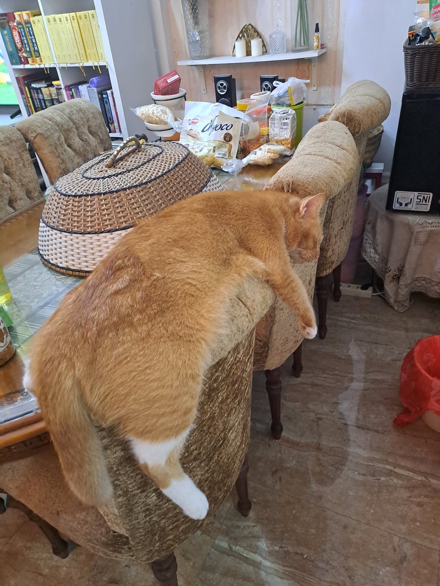 yoyoy1002's tweet photo. @kochengfs Lama nunggu https://t.co/FQES0rj1kG